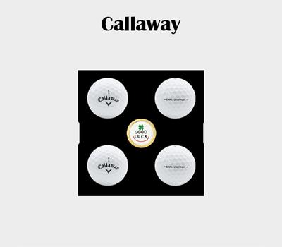 캘러웨이 CXR CONTROL 3피스 골프공 4구 볼마커세트 3f8384cc83f1c69a82d2cb6bfd8e6b9f_1643601070_7478.jpg