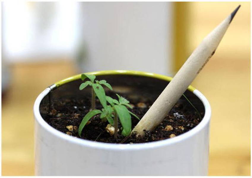 27bac01a825114275836fa5e224a42ab_1662384243_8418.jpg 27bac01a825114275836fa5e224a42ab_1662384243_8418.jpg